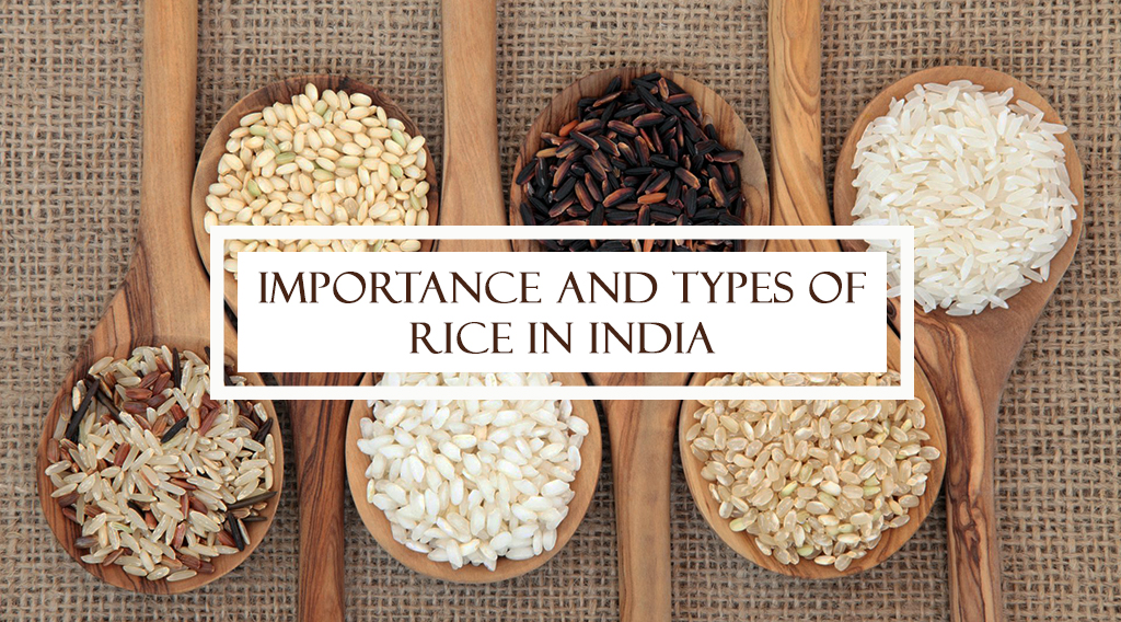 Importance and types of Rice in India