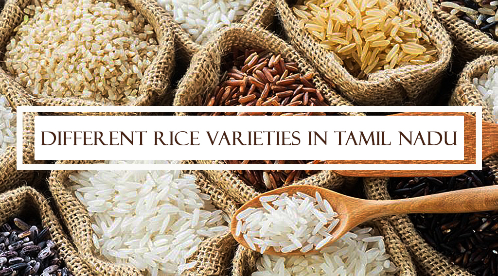 Different Rice varieties in Tamil Nadu