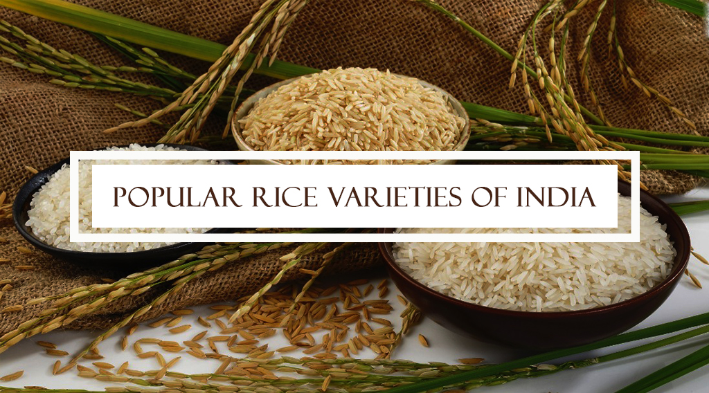 Popular Rice Varieties of India